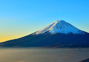 沧州鲸川招商服务有限公司